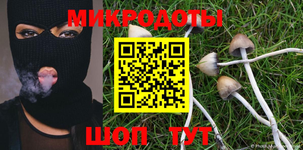 Галлюциногенные грибы GOLDEN TEACHER  Вход с VPN  Воронеж  Галлюциногенные грибы MAGIC MUSHROOMS 