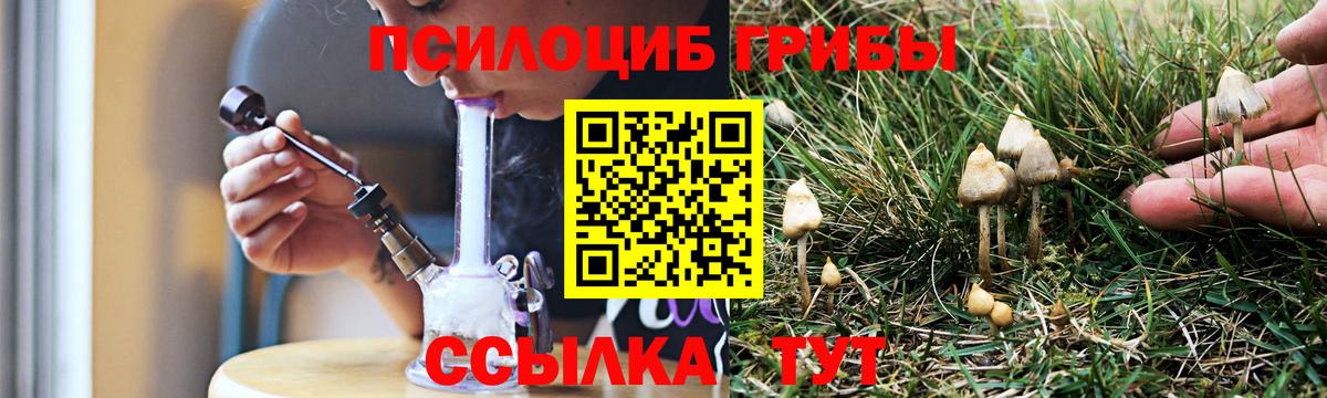 Галлюциногенные грибы Magic Shrooms Воронеж